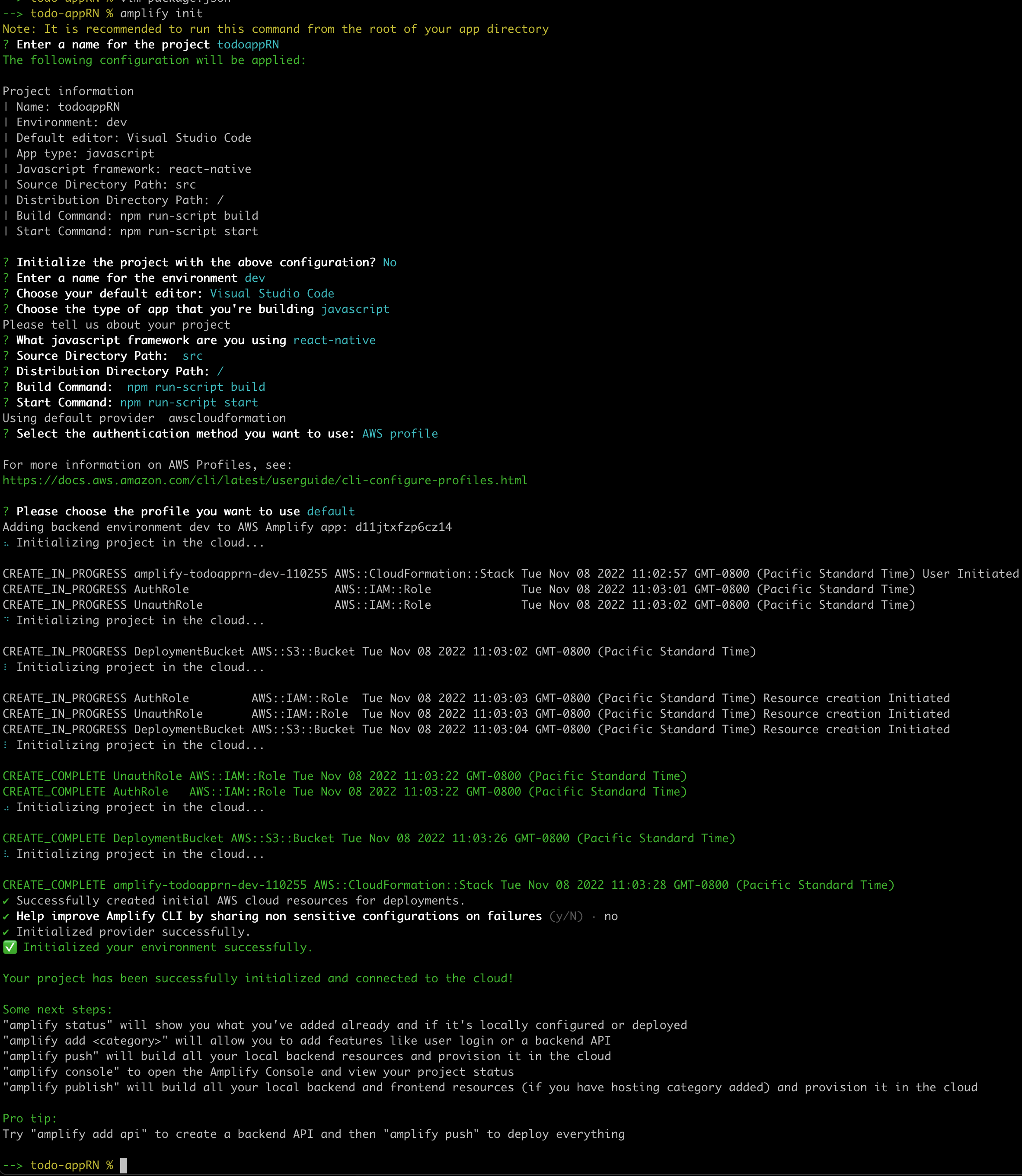 "Output from running amplify init"