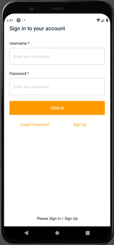 "Cognito Sign in screen after confirming Sing Up"